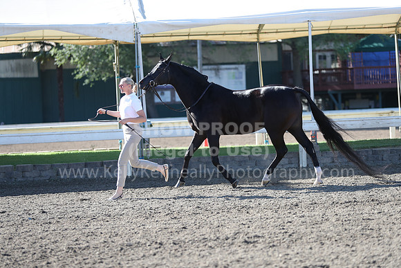 DAHA_Spring21_Fri_1177