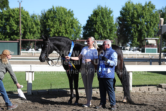 DAHA_Spring21_Fri_1183