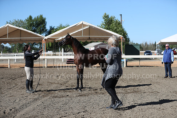DAHA_Spring21_Fri_1204