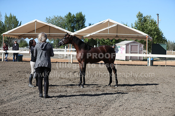 DAHA_Spring21_Fri_1205