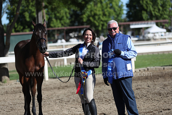 DAHA_Spring21_Fri_1218