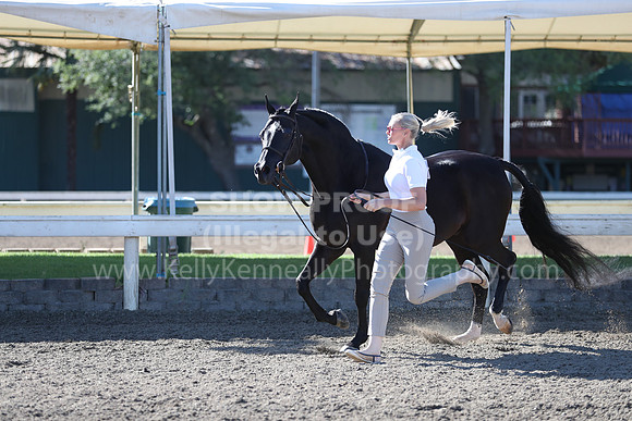 DAHA_Spring21_Fri_1251