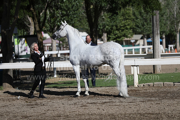 DAHA_Spring21_Fri_1263