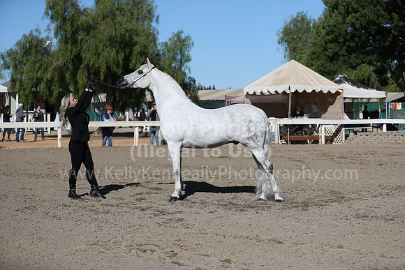 DAHA_Spring21_Fri_1268