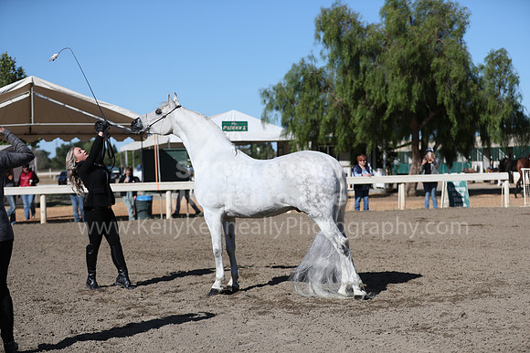 DAHA_Spring21_Fri_1270