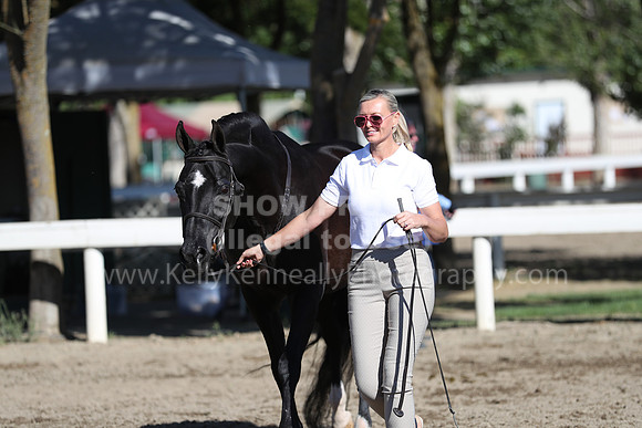DAHA_Spring21_Fri_1279