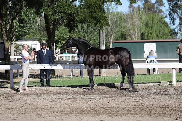 DAHA_Spring21_Fri_1277