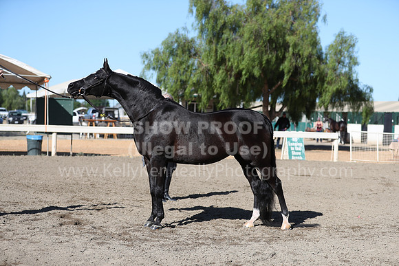 DAHA_Spring21_Fri_1280