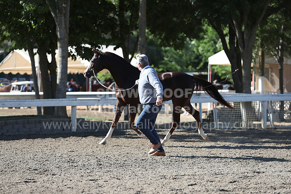 DAHA_Spring21_Fri_1288