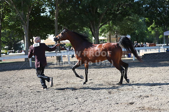 DAHA_Spring21_Fri_1301