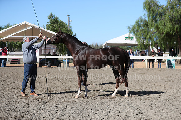 DAHA_Spring21_Fri_1314