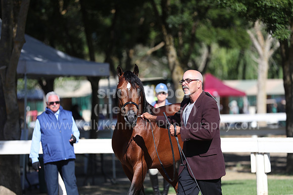DAHA_Spring21_Fri_1319