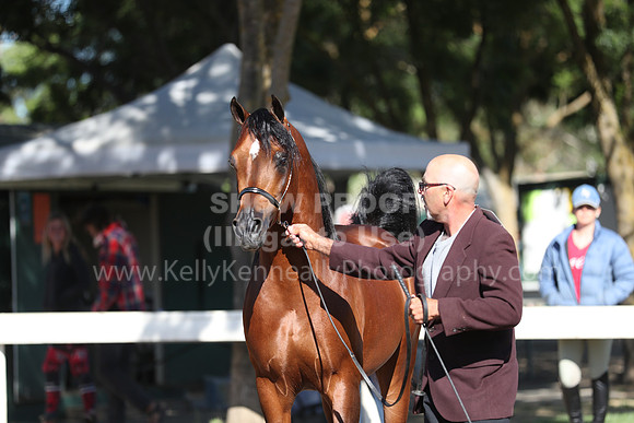 DAHA_Spring21_Fri_1320