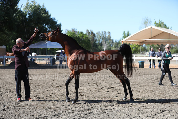 DAHA_Spring21_Fri_1327