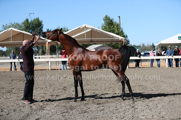 DAHA_Spring21_Fri_1328