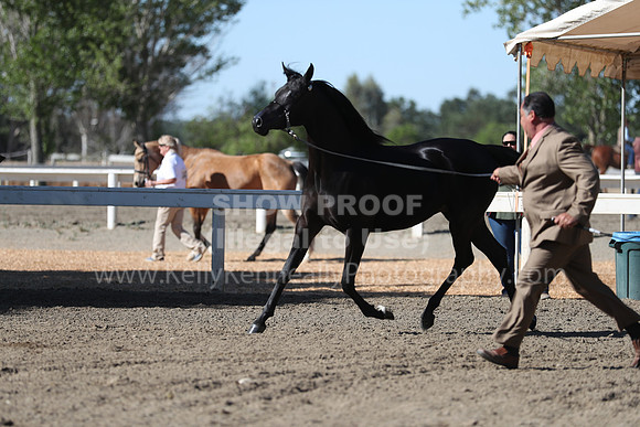 DAHA_Spring21_Fri_1353
