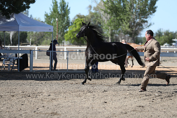 DAHA_Spring21_Fri_1358