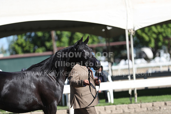 DAHA_Spring21_Fri_1369
