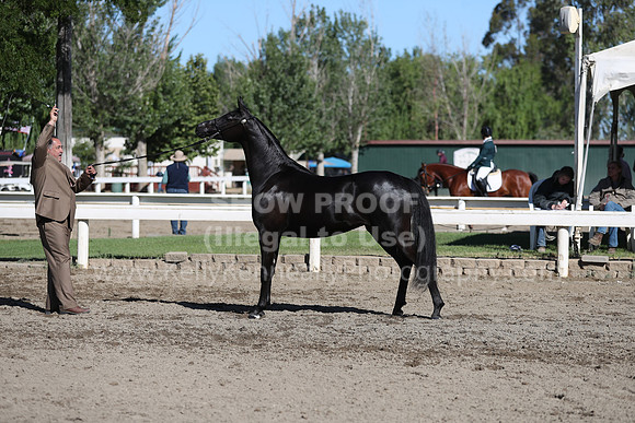 DAHA_Spring21_Fri_1372
