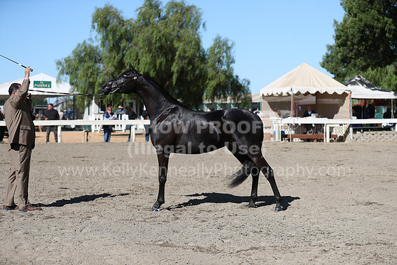 DAHA_Spring21_Fri_1377