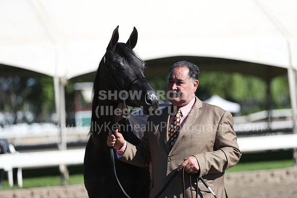 DAHA_Spring21_Fri_1379