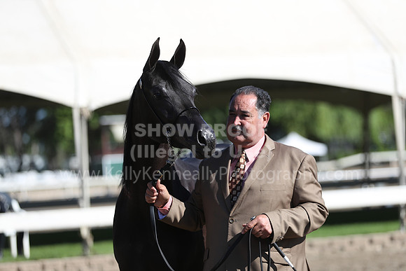 DAHA_Spring21_Fri_1380