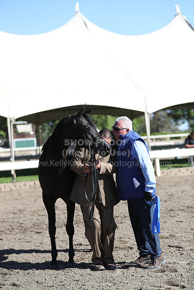DAHA_Spring21_Fri_1383