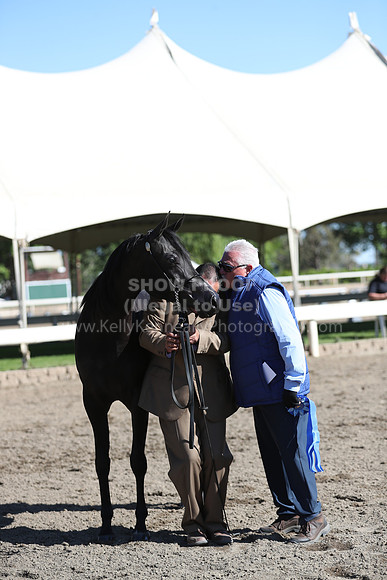 DAHA_Spring21_Fri_1384