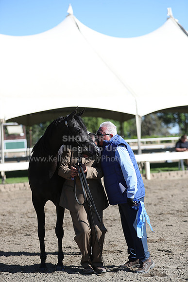 DAHA_Spring21_Fri_1386