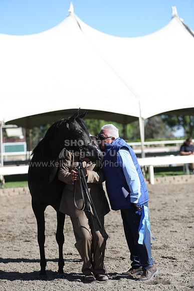 DAHA_Spring21_Fri_1387