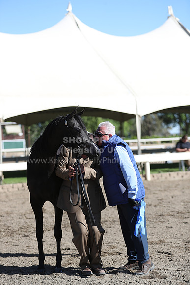 DAHA_Spring21_Fri_1388