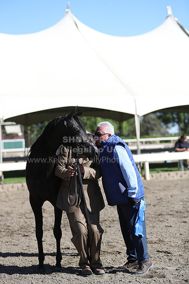 DAHA_Spring21_Fri_1389