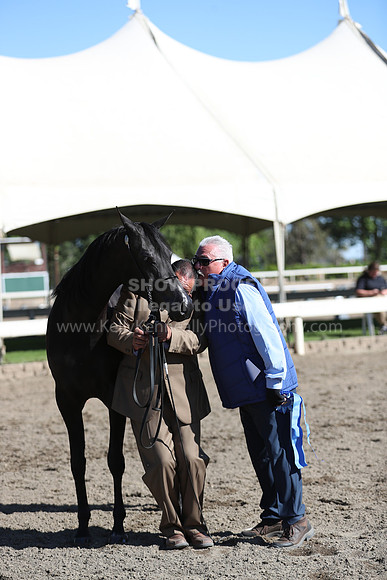DAHA_Spring21_Fri_1390
