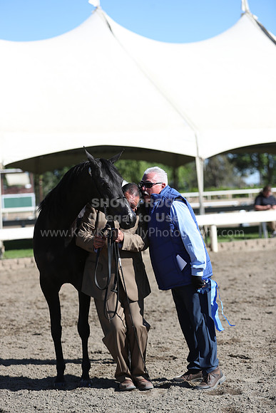 DAHA_Spring21_Fri_1391