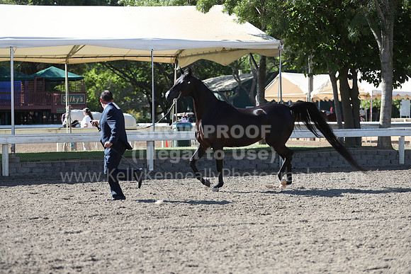 DAHA_Spring21_Fri_1413