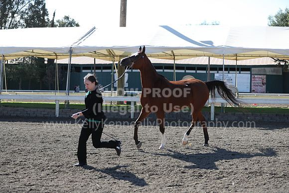 DAHA_Spring21_Fri_1433