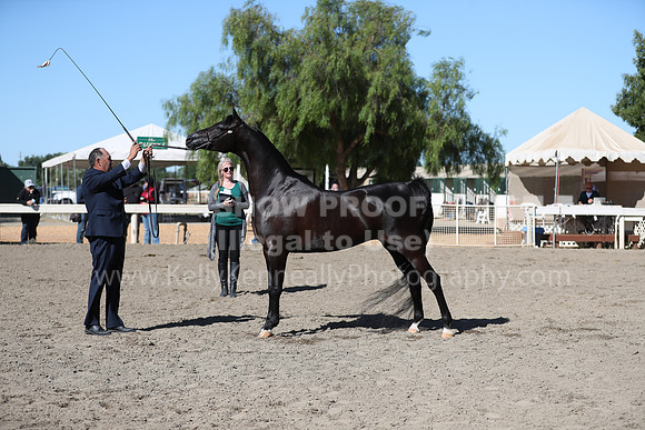 DAHA_Spring21_Fri_1440