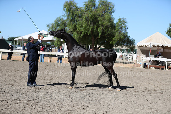DAHA_Spring21_Fri_1442