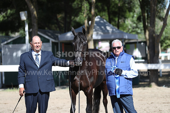 DAHA_Spring21_Fri_1450