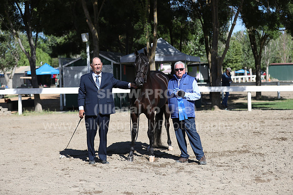 DAHA_Spring21_Fri_1449