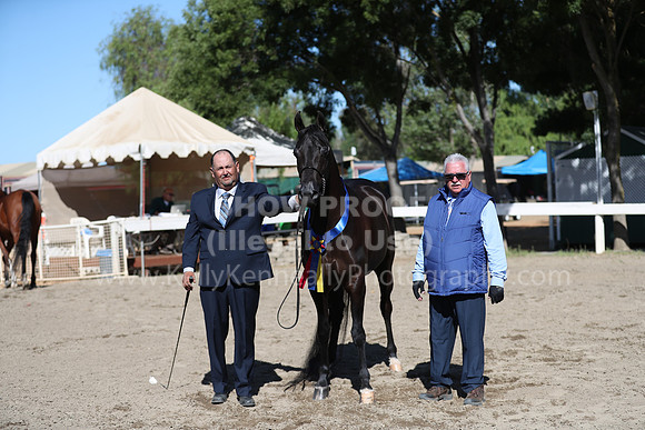 DAHA_Spring21_Fri_1451