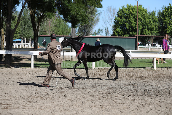 DAHA_Spring21_Fri_1457