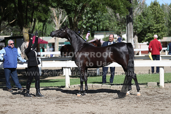 DAHA_Spring21_Fri_1506