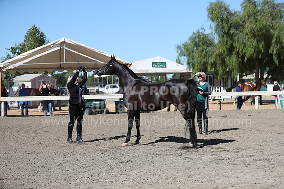 DAHA_Spring21_Fri_1507