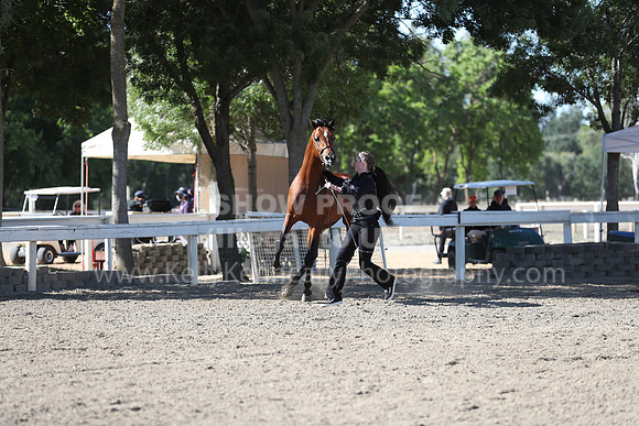 DAHA_Spring21_Fri_1518