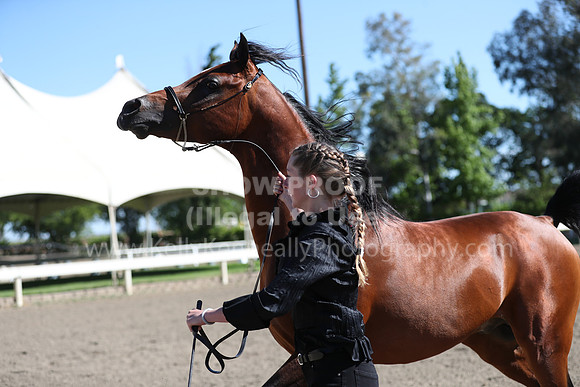 DAHA_Spring21_Fri_1533