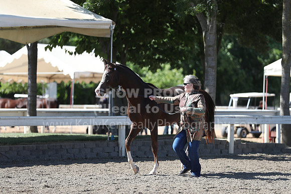 DAHA_Spring21_Fri_1539