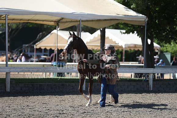 DAHA_Spring21_Fri_1542