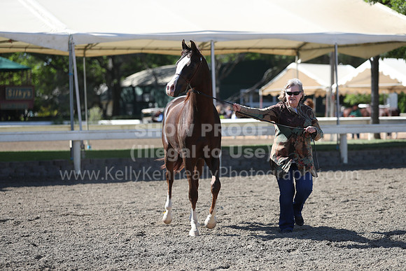 DAHA_Spring21_Fri_1546