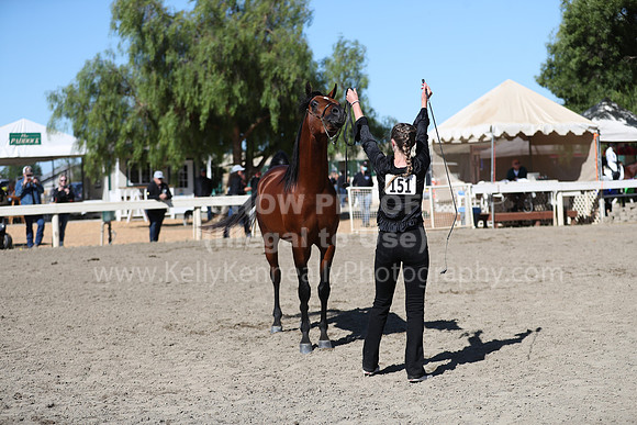 DAHA_Spring21_Fri_1556